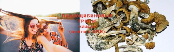 героин Алексин