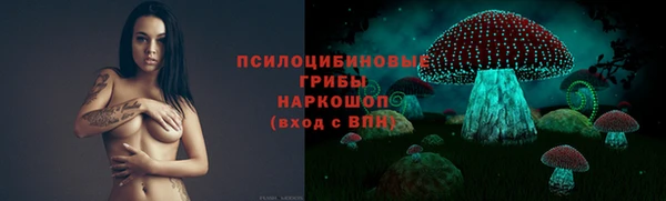 героин Алексин