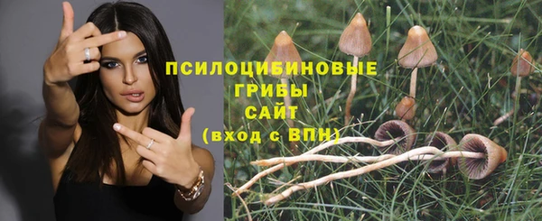 героин Алексин