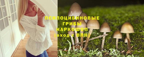 героин Алексин
