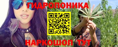 гашишное масло Гудермес