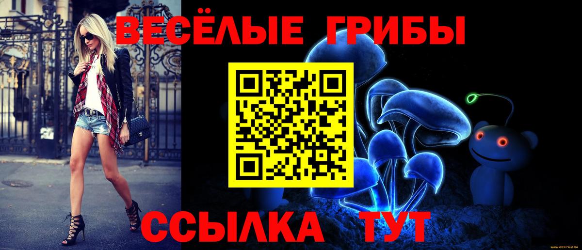 Псилоцибиновые грибы Psilocybine cubensis  Галлюциногенные грибы Psilocybe  Киржач  Вход с VPN 